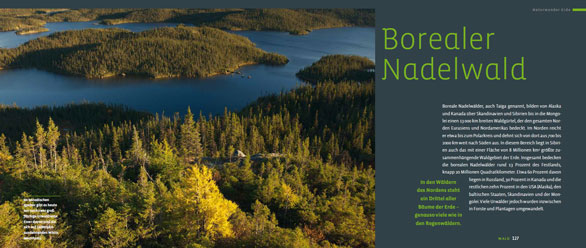 Einführende Doppelseite zum Thema Borealer Nadelwald im Buch "Naturwunder Erde"